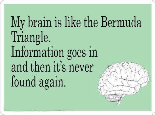 brain